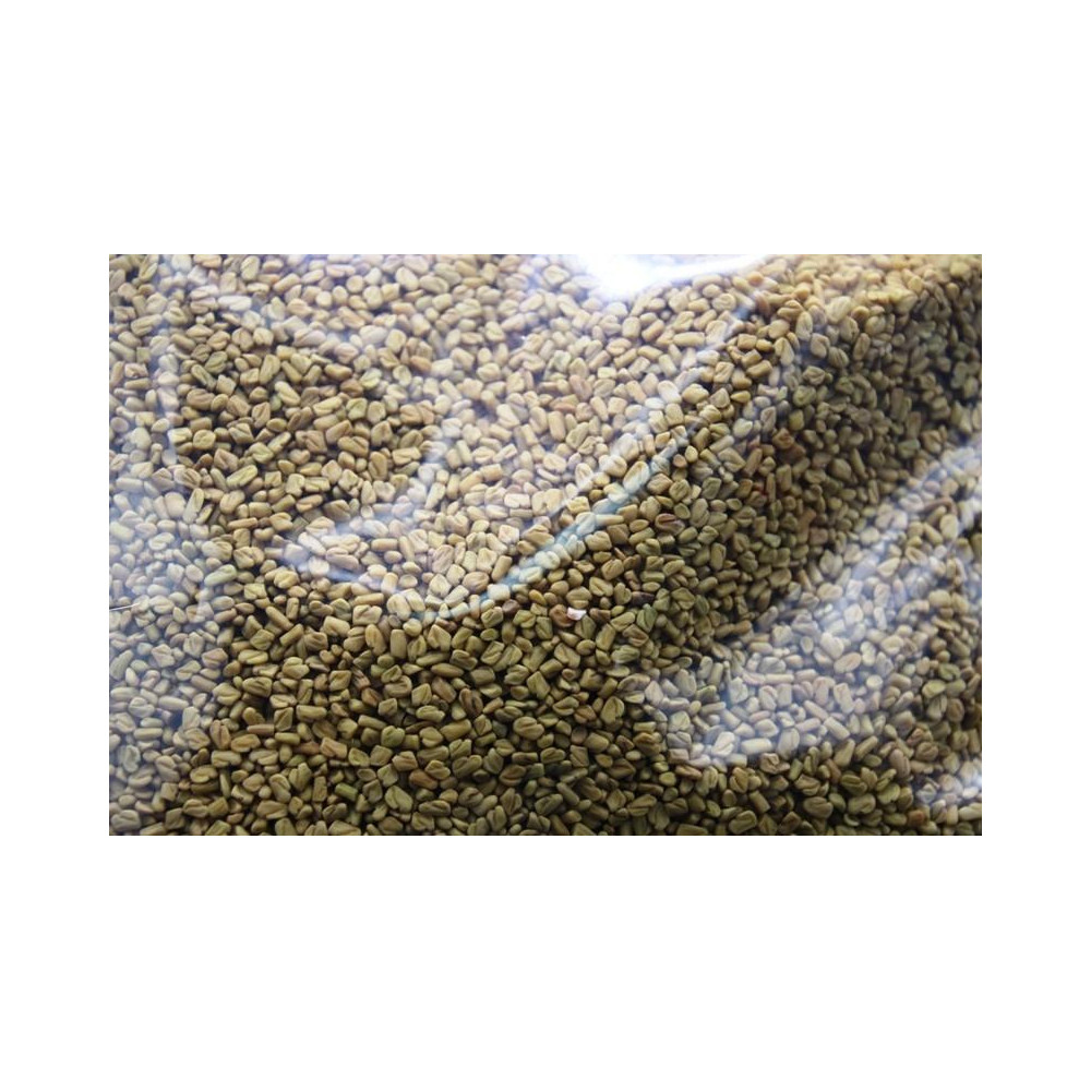 FENOGRECO BOLSA DE 500 GRAMOS